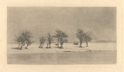 Knotige Dornbäume von Peter Henry Emerson