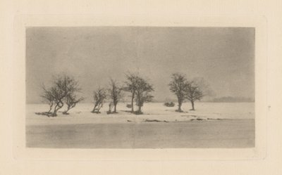 Knotige Dornbäume von Peter Henry Emerson