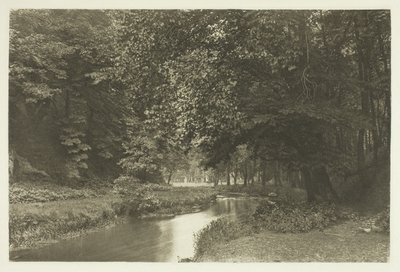 In Beresford Dale von Peter Henry Emerson