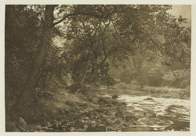 In der Nähe von Reynard