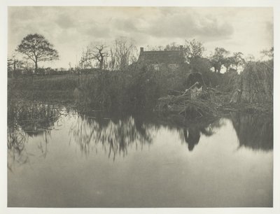 Quanting the Gladdon von Peter Henry Emerson