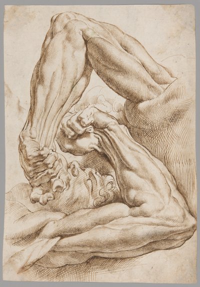 Ein Blatt anatomischer Studien von Peter Paul Rubens