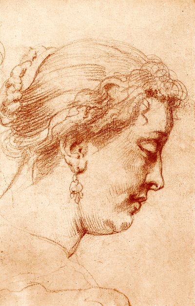 Weibliches Profil von Peter Paul Rubens
