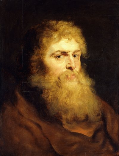 Kopf eines bärtigen Mannes von Peter Paul Rubens