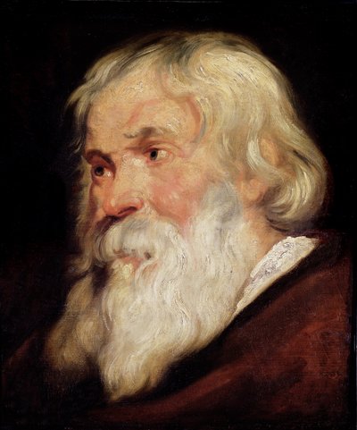 Kopf eines alten Mannes von Peter Paul Rubens