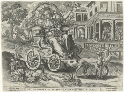 Geruch (Odoratvs) von Petrus Cool