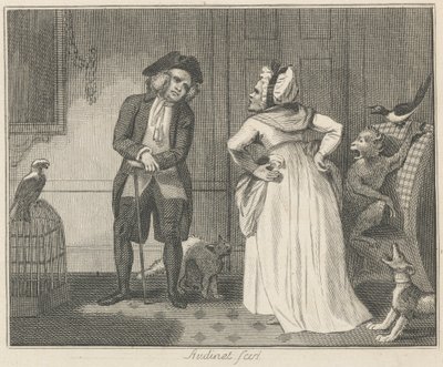 Die Zänkerin und der Papagei von Philip Audinet