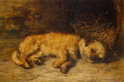 Ein Border Terrier Welpe von Philip Eustace Stretton