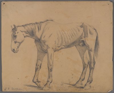 Pferd von Philip H. Wolfrom