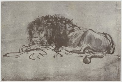 Ein Löwe von Philip Henry Delamotte