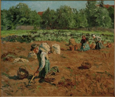 Kartoffelernte von Philipp Franck