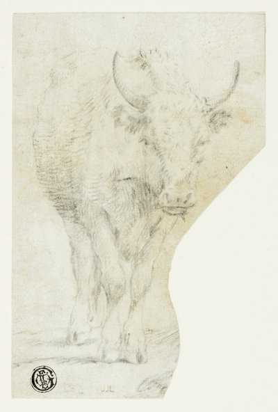 Kuh von Philipp Peter Roos