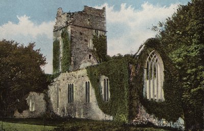 Südirland: Muckross Abbey, Killarney von Photographer Irish