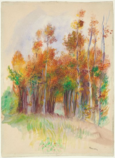 Hain von Bäumen von Pierre Auguste Renoir