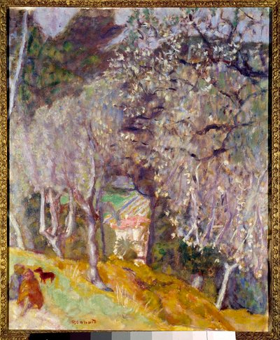 Haus in den Oliven von Pierre Bonnard