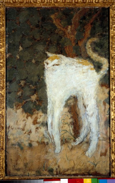 Die weiße Katze von Pierre Bonnard