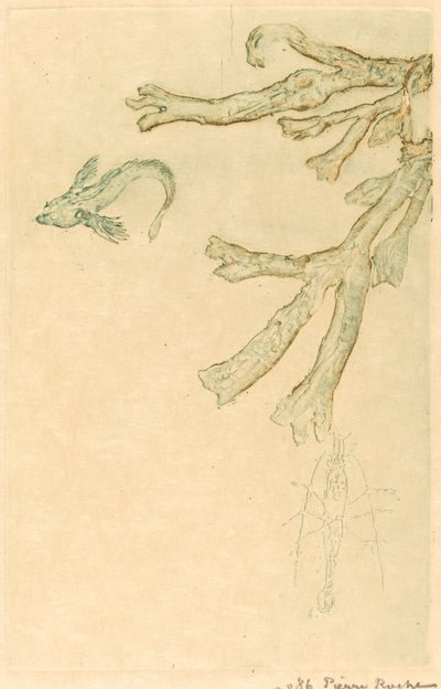 Meeresalgen von Pierre Roche
