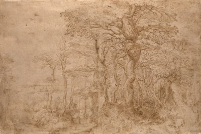 Waldlandschaft mit fünf Bären von Pieter Bruegel the Elder