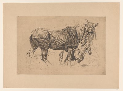 Studienblatt mit zwei Pferden von Pieter Dupont