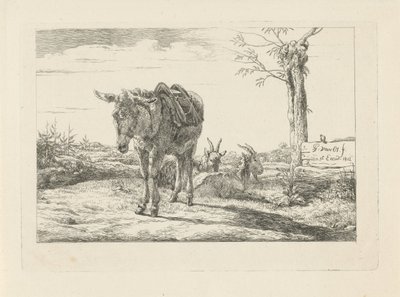Ein Esel und zwei Ziegen von Pieter Gerardus van Os