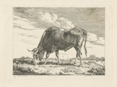 Weidende Kuh von Pieter Gerardus van Os