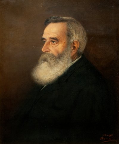 Dr. Brown von Pieter Hugo Naudé