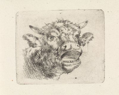 Kuhkopf, brüllend von Pieter Janson