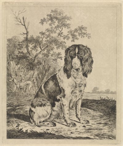 Sitzender Vorstehhund von Pieter Janson
