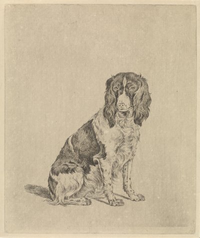 Sitzender Vorstehhund von Pieter Janson