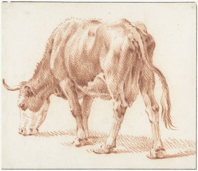Weidende Kuh, nach links von Pieter van Bloemen