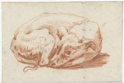 Liegender Hund von Pieter van Bloemen
