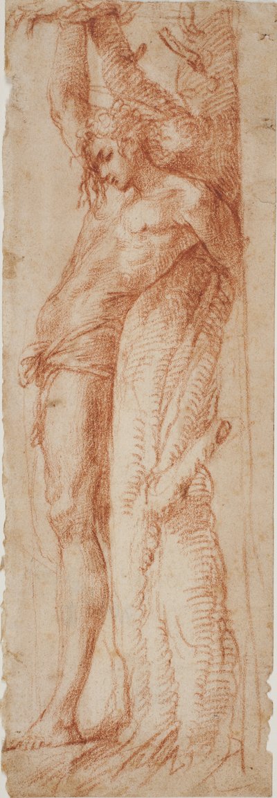 Der heilige Sebastian von Polidoro da Caravaggio