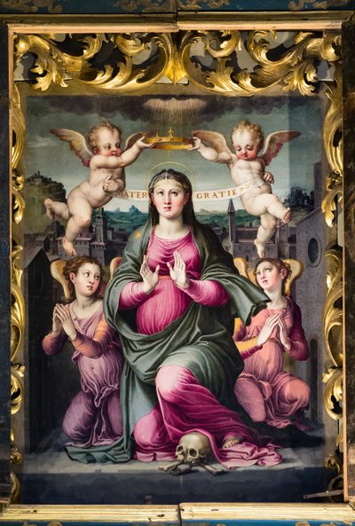 Madonna delle Grazie von Raffaello dal Colle
