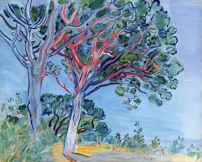 Die rote Kiefer von Raoul Dufy
