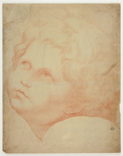 Kopf eines Kindes, nach oben blickend von Raphael
