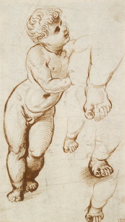 Recto: Das Jesuskind und andere Studien, 1500-1520 von Raphael
