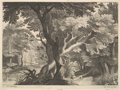 Bewaldete Landschaft von Raphael Sadeler