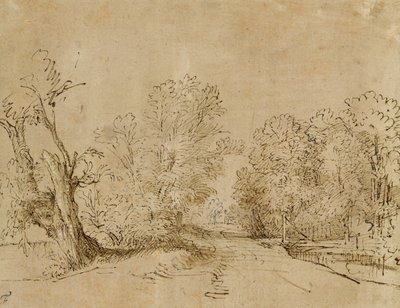 Ein bewaldeter Weg von Rembrandt van Rijn