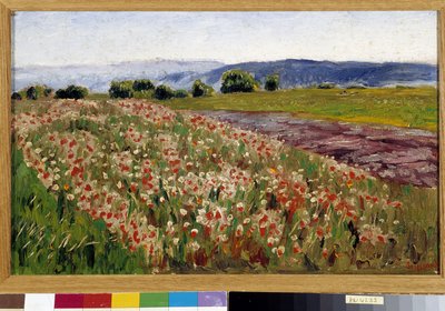 Das Mohnfeld von Rene Auguste Seyssaud