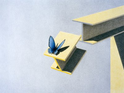 Schmetterling von Rene Boin