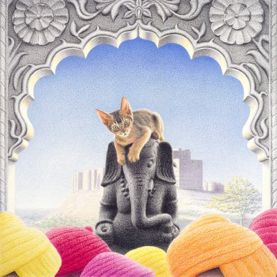 Indien von Rene Boin