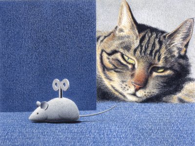Maus von Rene Boin