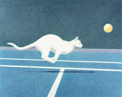 Tennis von Rene Boin