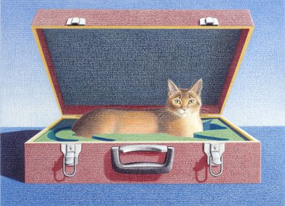 Reisekoffer 2 von Rene Boin