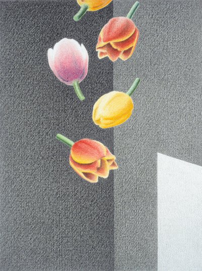 Tulpen von Rene Boin