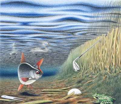 Wasserhindernis von Rene Boin