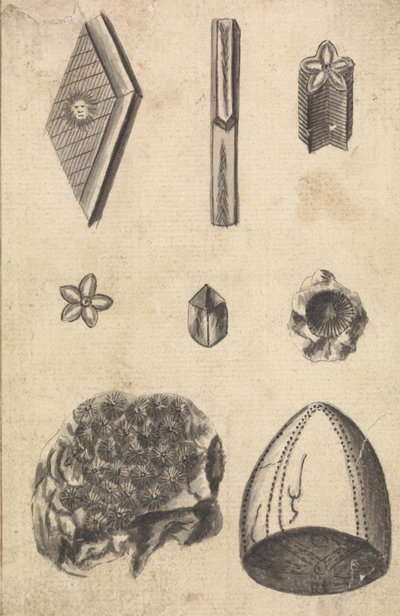 Kristalle und Fossilien von Richard Brookes