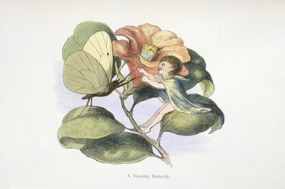 Ein tanzender Schmetterling von Richard Doyle