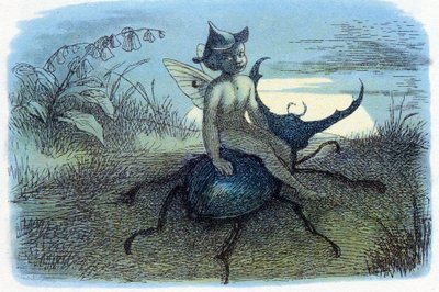 Der Bote der Feenkönigin von Richard Doyle