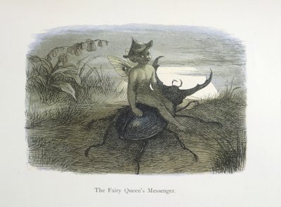 Der Bote der Feenkönigin von Richard Doyle